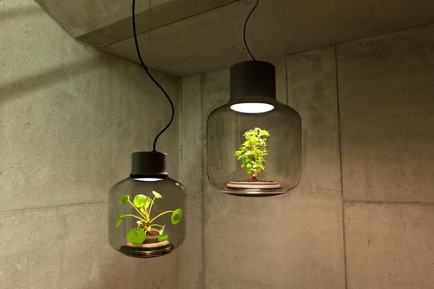 將植物放在一款密閉的LED燈具中能持續生長嗎？